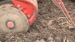 Erfolgreiche Kunstwiesensaat