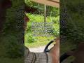 Because Music Is Better When You Re In The Great Outdoors Newmusic Summer Hikingplaylist