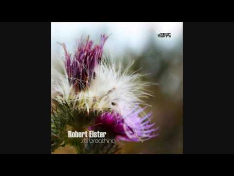 Robert Elster - Recrystallization