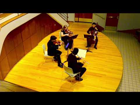 Chamber Music Ensemble & Ann Pham, organ