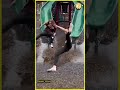 Stupid Adults Fails Viral Laugh Funny Fails Failure