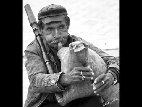 PAUNE MOJ - AGO Kujundžić