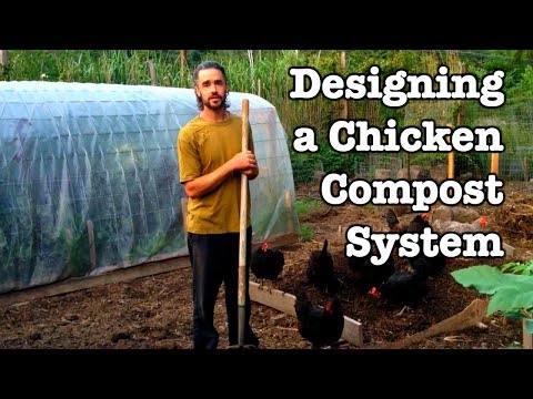 Chicken Compost - Designing the System