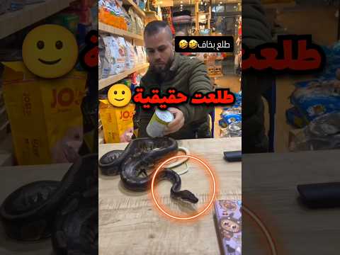 اعطاه افعى حقيقية وهو يحسبها مزيفة وهذا اللي صار 😦