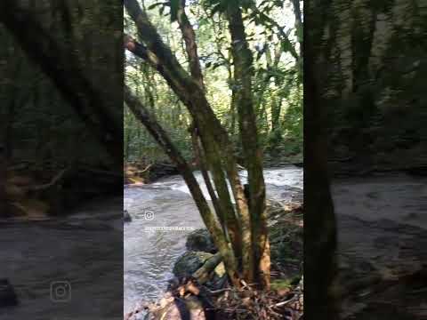 📌 Lageado Pegoraro - Comunidade Santo Antônio - Erebango - Rio Grande do Sul - Brasil