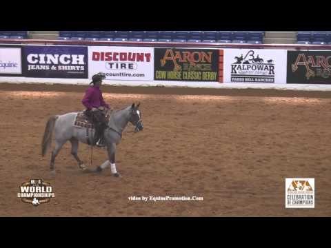A Spoonful O Sugar ridden by Chris Dawson - 2015 NRCHA Celebration of Champs Open Two Rein - Prelims