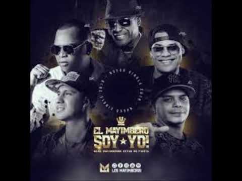 LOS CELOS -  LOS MAYIMBEROS (2019)