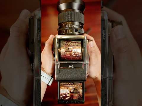 Digital Results From a Film Camera | 202FA & CFV 100C