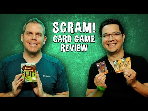 Review of Scram! - Camping Memory Card Game