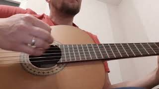 Sie hat geschrien(Selig cover)