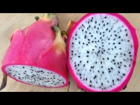 Dragon fruit cutting short /Shiju's world#