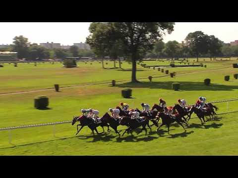 BA 24.06.2017 - Dostihy 4 - Cena Volkswagen Crafter