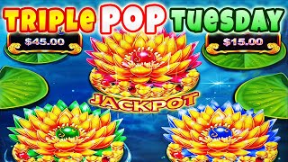 NEW Lotus Flower Blossoms slot - Mega Big Win for Triple Pop Tuesday at the Atlantis casino in Reno!