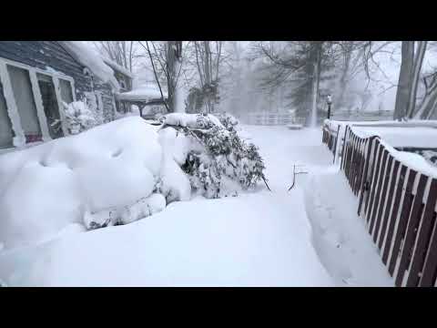 Buffalo, NY - INSANE Snow Blizzard 🥶