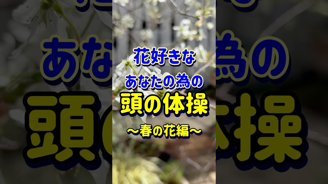 全問正解出来るかな〜？最後がちょっと難しいかも😉#ガーデニング #flowers #gardening #ガーデニングチャンネル #クイズ