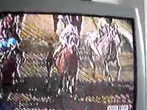 Preakness Stakes 2008