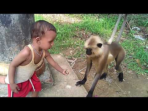 Himmat wale Bachhe Khatarnak Bandaron ke Saath/ Dare to touch and play with monkeys.