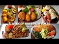 23 A WEEK OF HUSBAND BENTOS Love Creamy Croquettes
