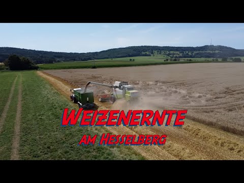 Weizenernte am Hesselberg – Video abspielen