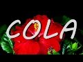 LANA DEL REY, COLA (with lyrics)