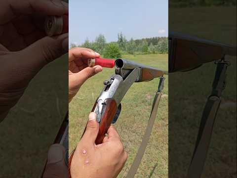 Top Single Barrel Shotgun: A Review | Best Single Barrel Shotgun for Hunting