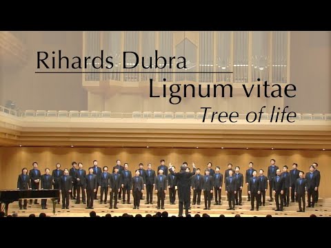 Lignum vitae / Rihards Dubra