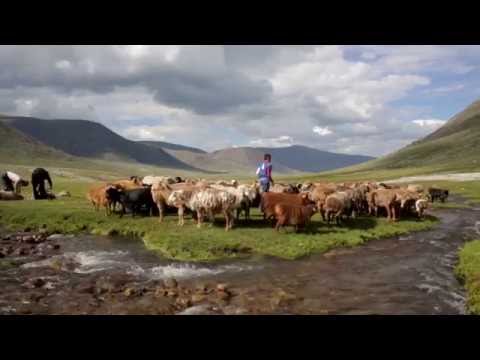 A common right: Mongolia
