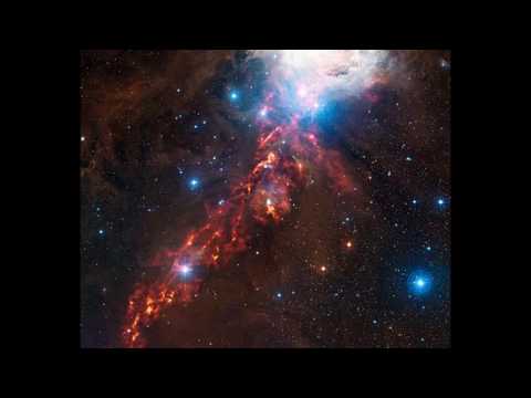 New Zealand Light Language @ Tara Sanctuary