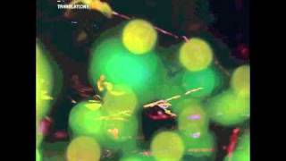 Music video thumbnail preview for Agent Fresco - Translations by Agent Fresco