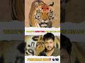 King Of Kanha Tiger Reserve Forest 04 10