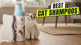 3 BEST Cat Shampoo