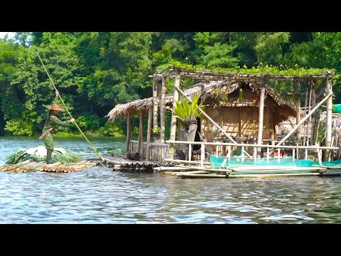The process of gathering materials to construct bamboo rafts and bamboo frames for shelters