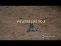 PBS Europe S New Wild 2021 Funding