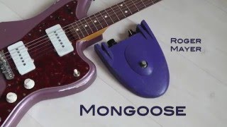 Video thumbnail for Roger Mayer Mongoose by Nikita Demchenko