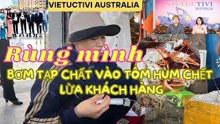 PHÁT HIỆN CƠ SỞ BƠM TẠP CHẤT GIỮ TƯƠI VÀO TÔM HÙM CHẾT RỒI ĐEM BÁN