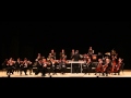 ПЕНЗАКОНЦЕРТ - Венский филармонический Штраус оркестр - Иоганн Брамс ...