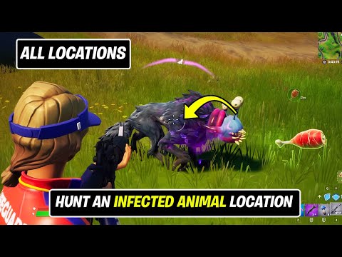 Hunt an Infected Animal (1)! All Infected Animals locations in Fortnite - Week 4 Epic Quest Guide
