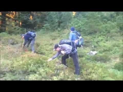 Abiel, the blueberries continue