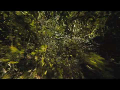 Palace  - Heaven Up There (Rosenthal Remix)