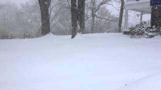 Video Snow Coming Down!