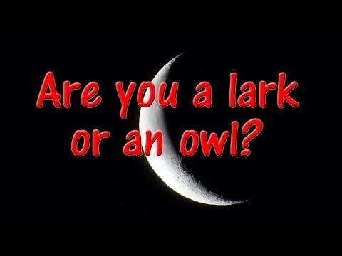 download lagu mp3 mp4 Lark Sleep, download lagu Lark Sleep gratis, unduh video klip Lark Sleep