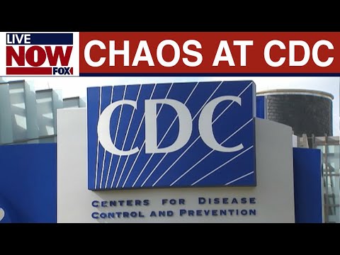 Video | New CDC Director named after Pres. Trump fires former director Susan Monarez  | LiveNOW from FOX
