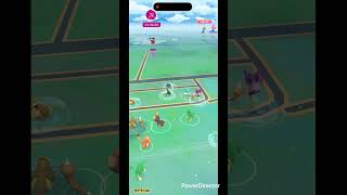 ココガラ色違い✨ #pokemongo #pokemon #ポケgo #shinypokemon #ポケモン