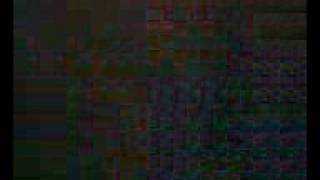 the blackout-spread legs not lies