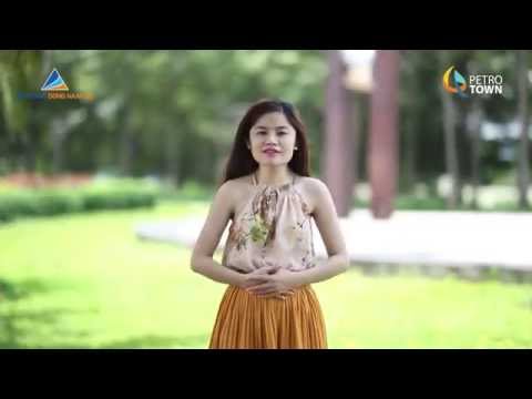 KĐT thương mại Petro Town