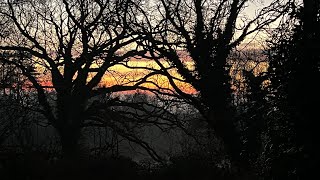 Finding Your Soul Mission