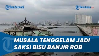 Musala Tenggelam Jadi Saksi Bisu, Banjir Rob Kerap Terjadi di Pesisir Jakut Tiap Bulan Purnama