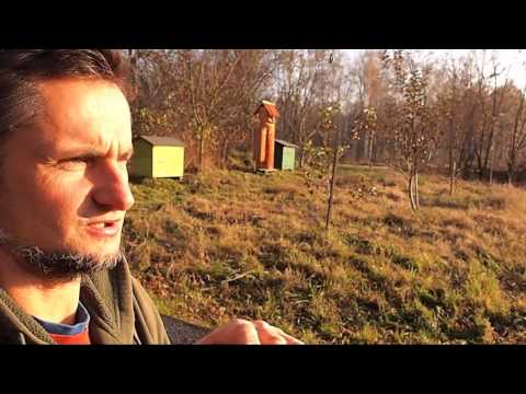 Polski KLIMAT w kłębie pszczelim.