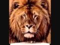 Helmut Lotti The Lion Sleeps Tonight 
