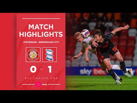 bg-highlight